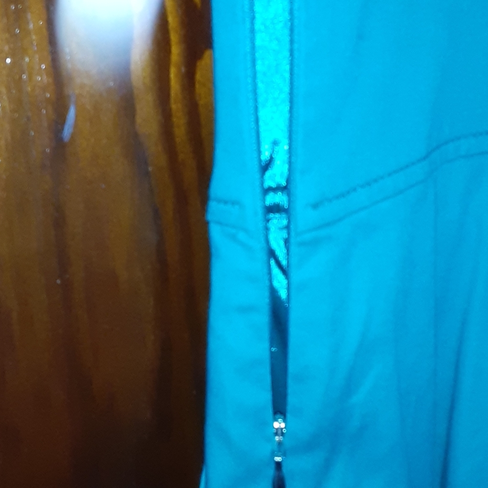 Express Design Studio sz 2 green with side zipper - Picture 4 of 6